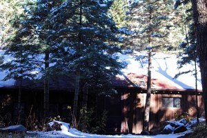 The Cabin 