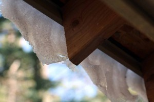 snow on the roof 